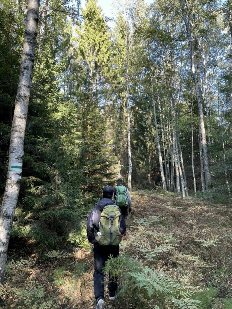 Hikers in the forest