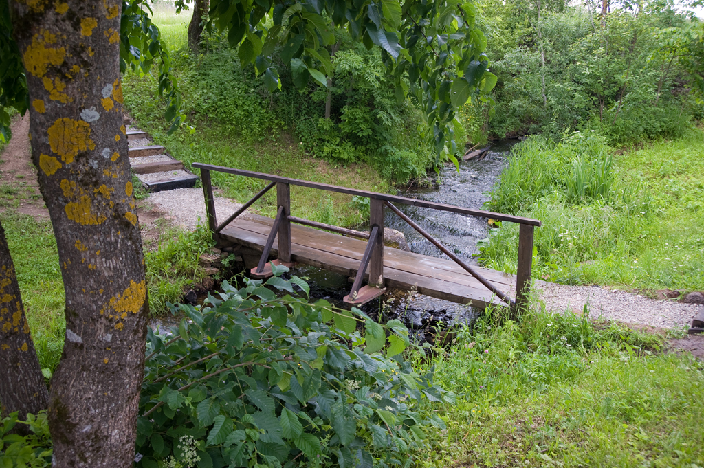 Bridge over the stream