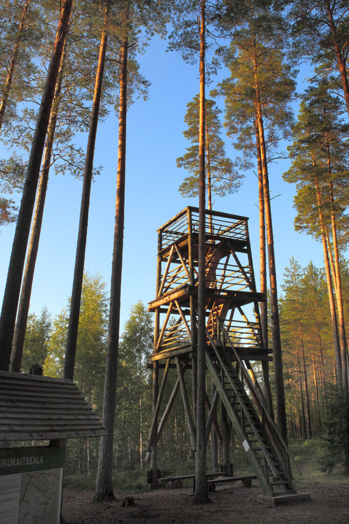 Liipsaare observation tower