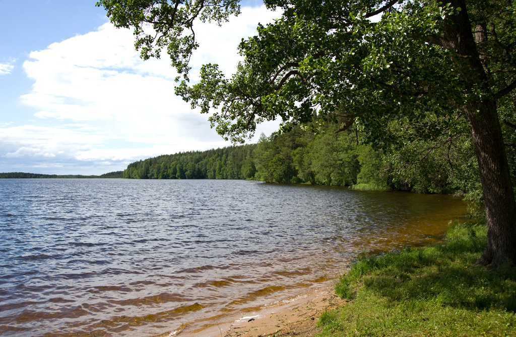 Uljaste järv