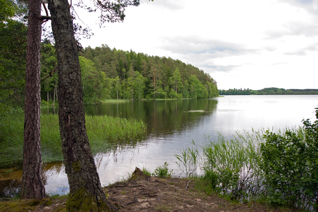 Uljaste järv