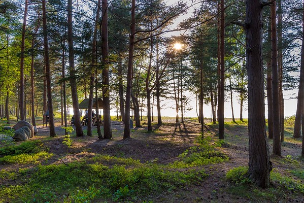 Uudise "Meremõisa telkimisala liikluskorraldus on muutunud" eelvaate pilt