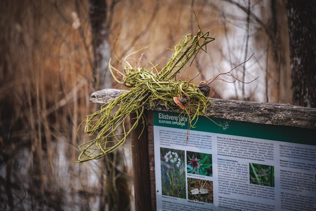 Elistvere study trail