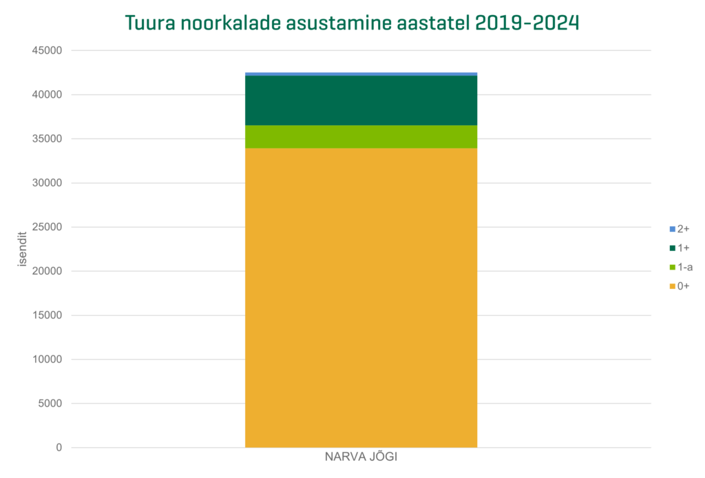 Tuura noorkalade asustamine aastatel 2019-2024