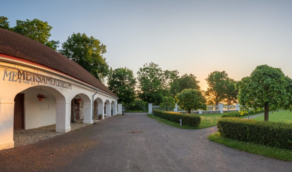 Forest Museum