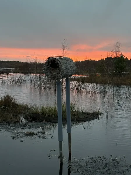 Soome jääksoo