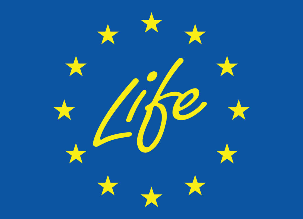 Life logo