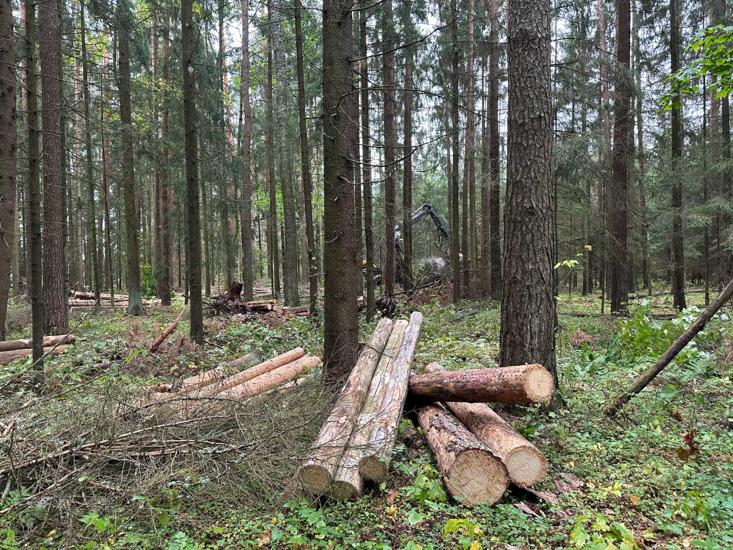 Raielank, kus parasjagu töid tehti.