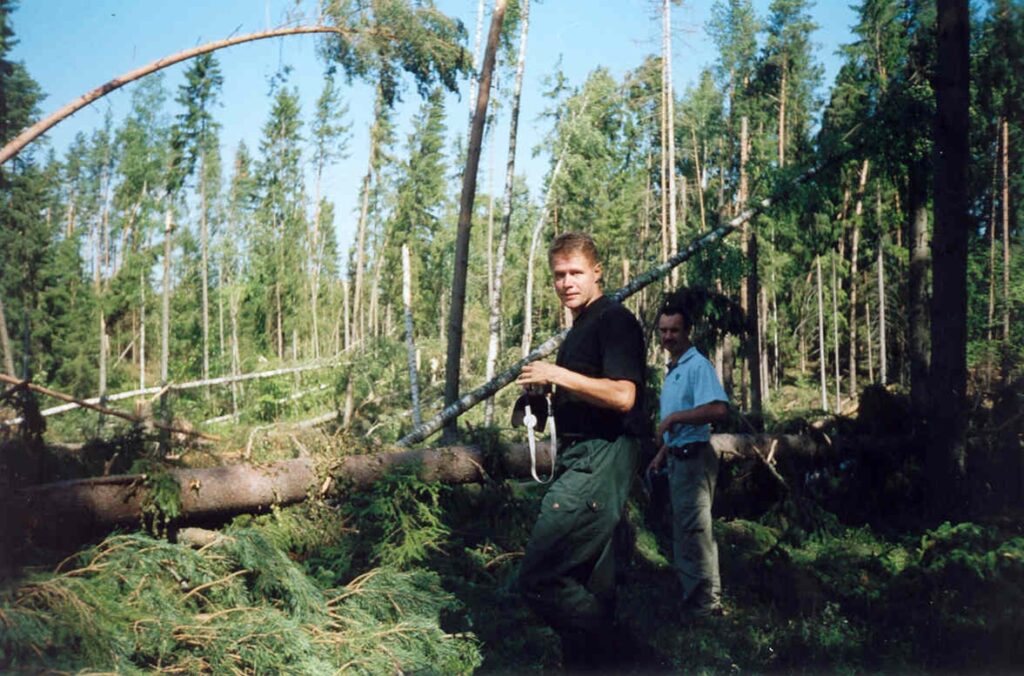 Halliku metskonna torm juulis 2002