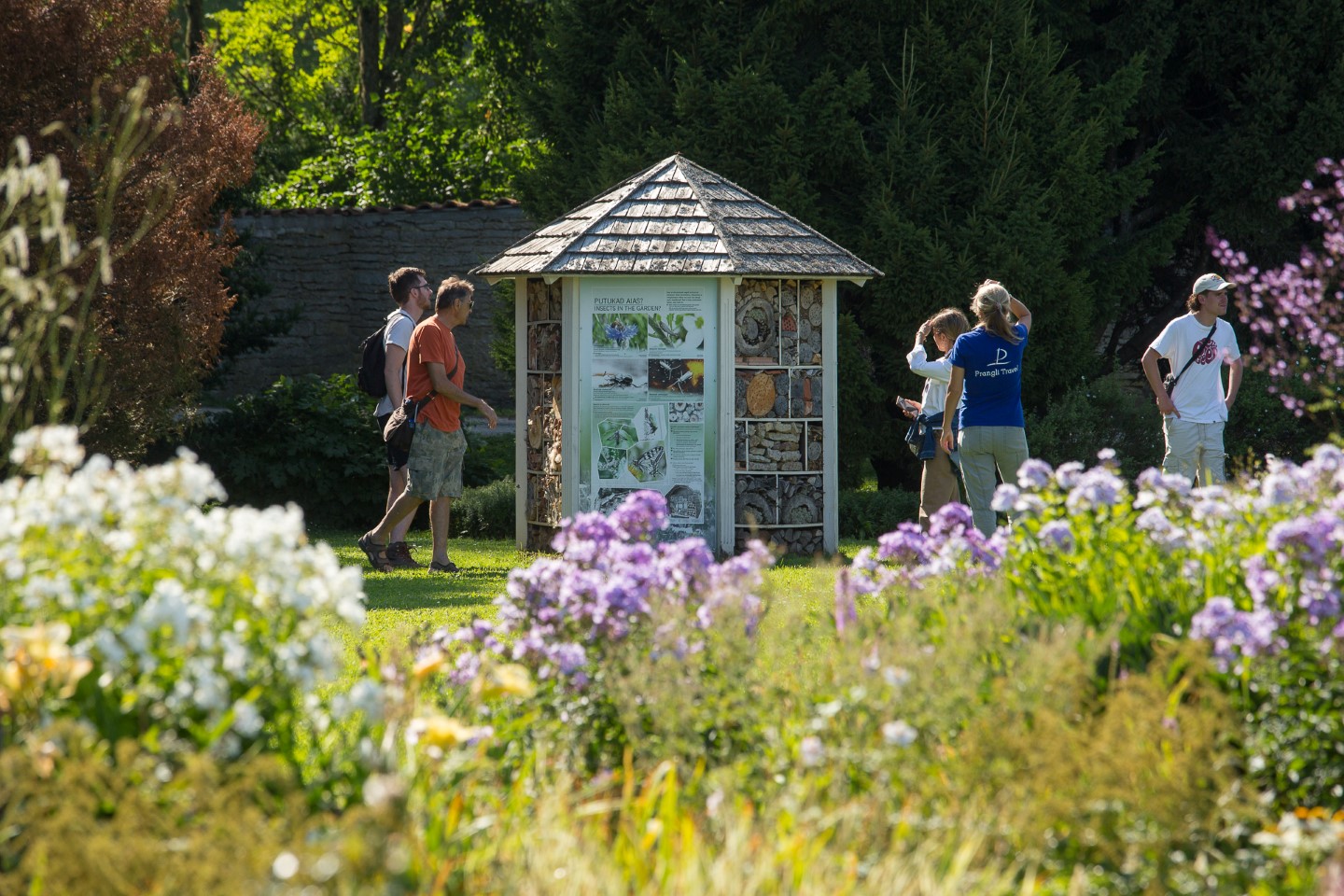 Insect hotel