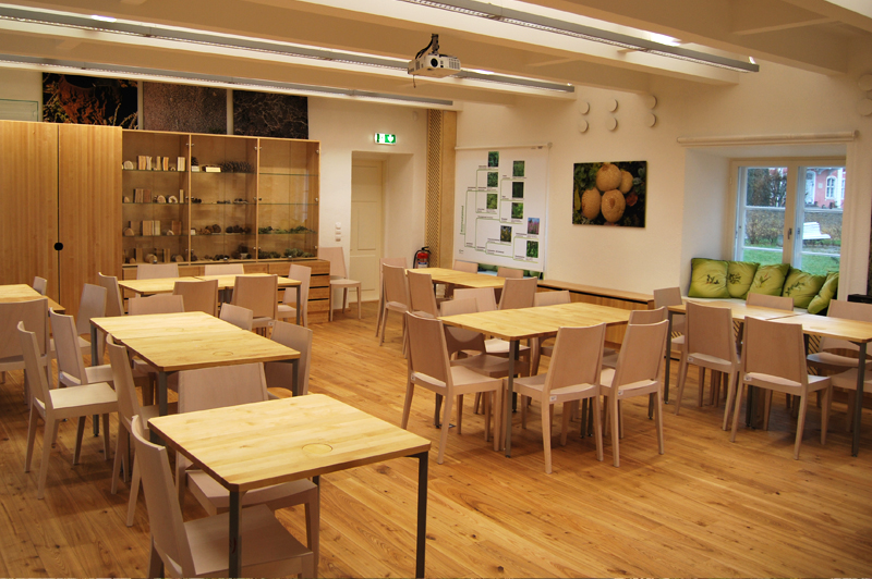 Nature school room with tables