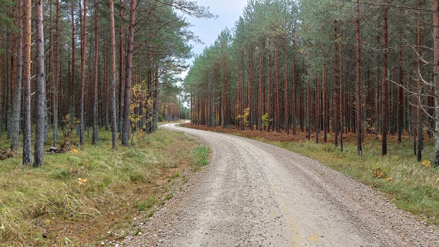 Höbringi-Viluvere metsatee Läänemaal