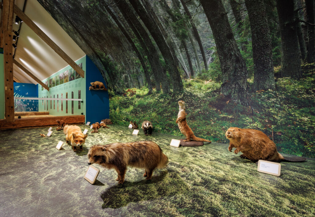 Animals in forest Museum