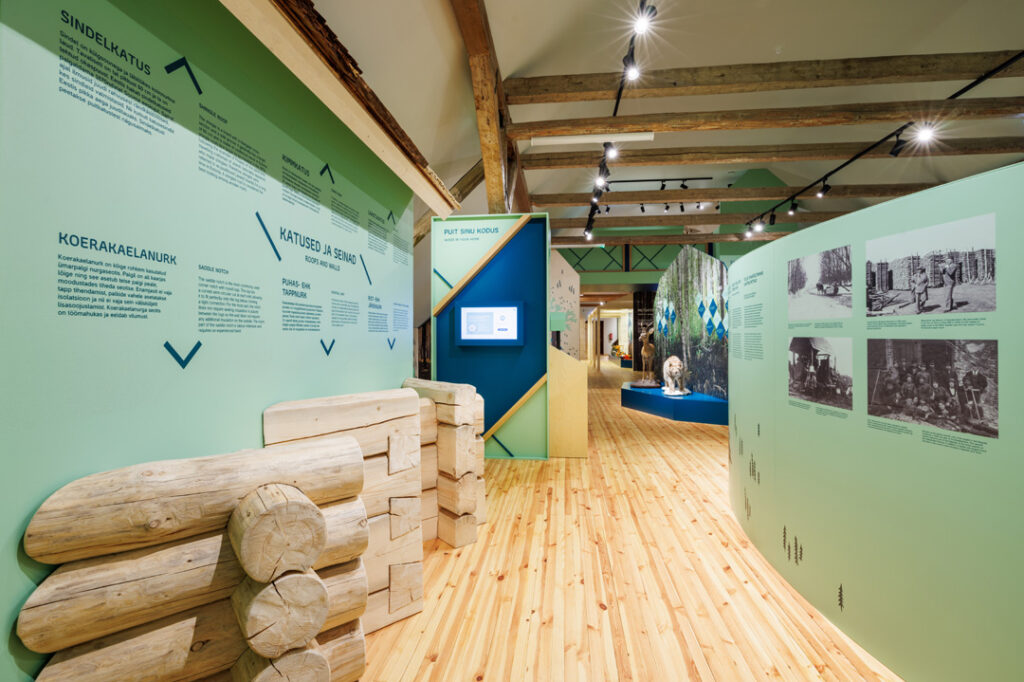 Information on the walls of the forest museum