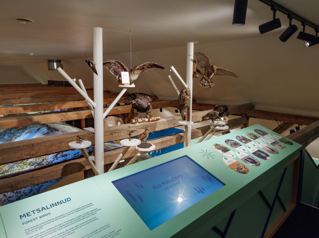 Information about forest birds in the forest museum