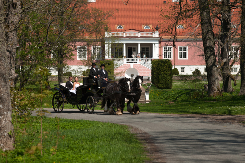 People arrive on horses