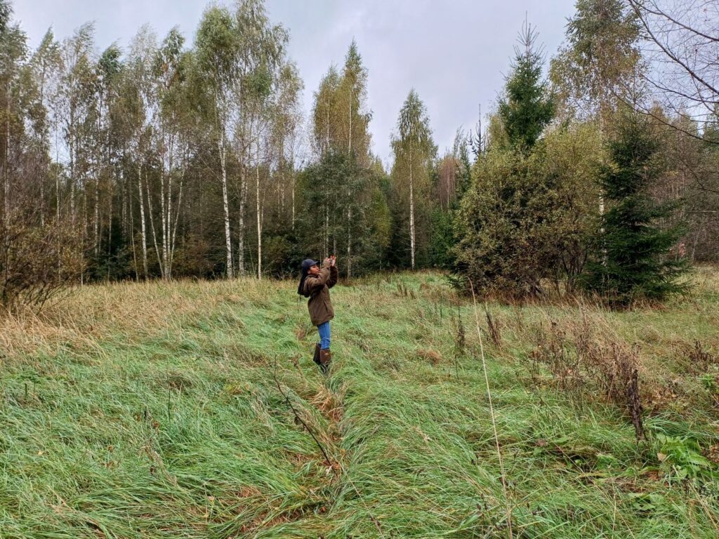 Tartumaa võimalikud metsauuendusalad