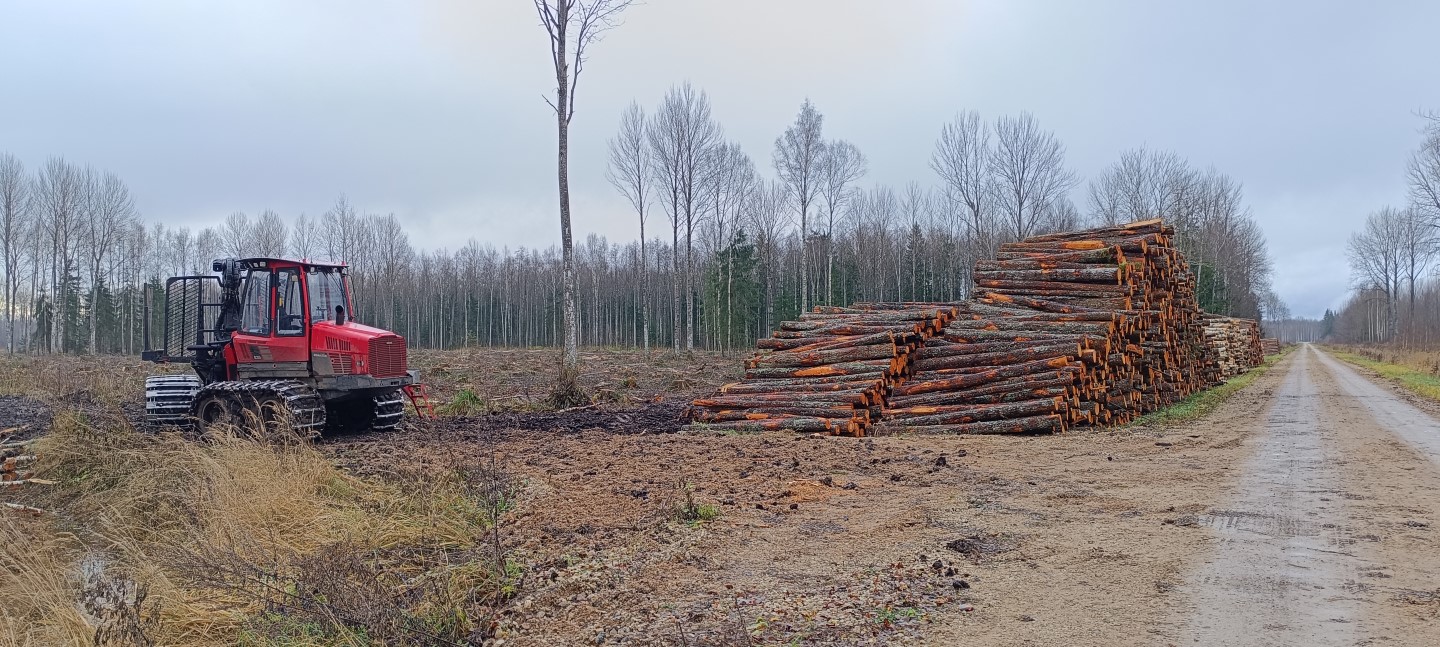 Tee äärde paigutatud palgid Jõgevamaa metsas