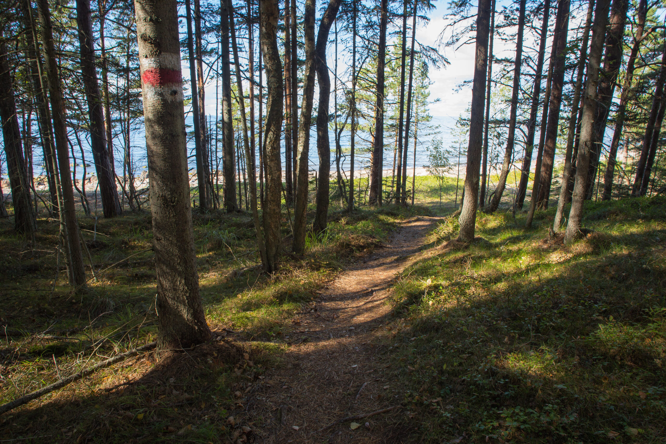 Naissaare põhjarada.