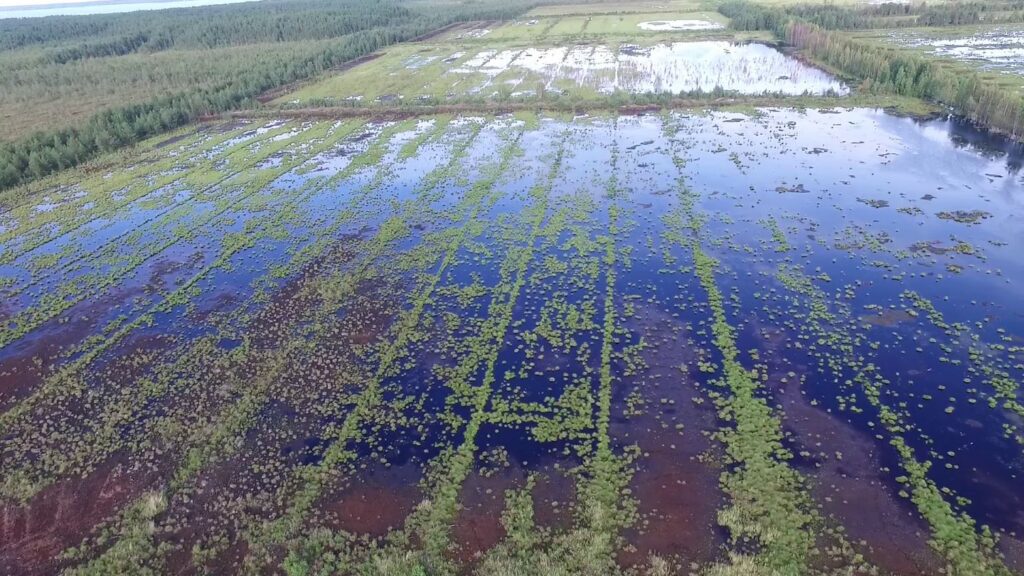 Taastatud Hara jääksoo