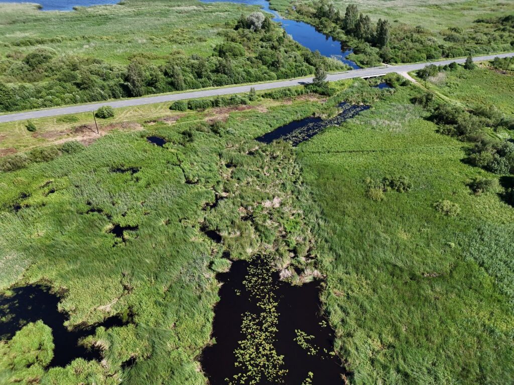 Ujuvsaared ummistamas Lahepera ja Peipsi järvi ühendavat Lahe jõge juuni alguses