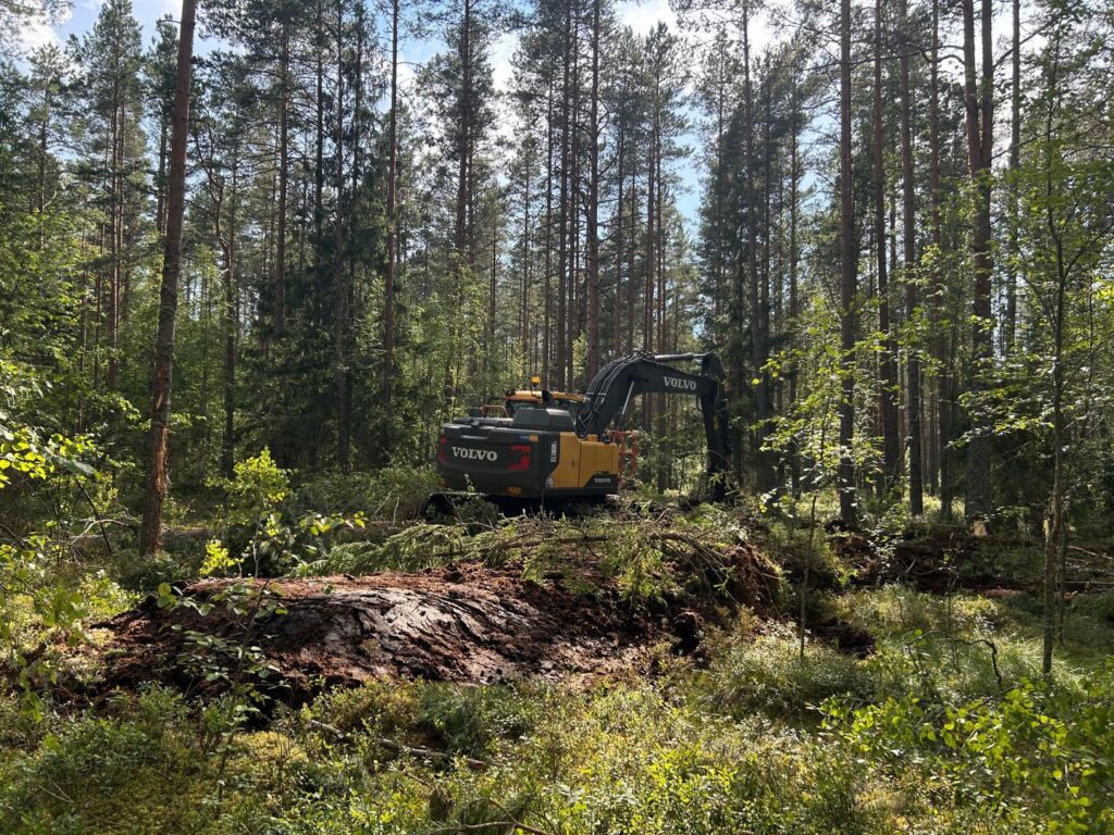 Ekskavaator Punsu soo kraavile turbapaisu ehitamas