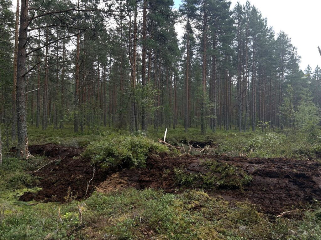Äsja ehitatud turbapais Punsu soo kuivenduskraavil