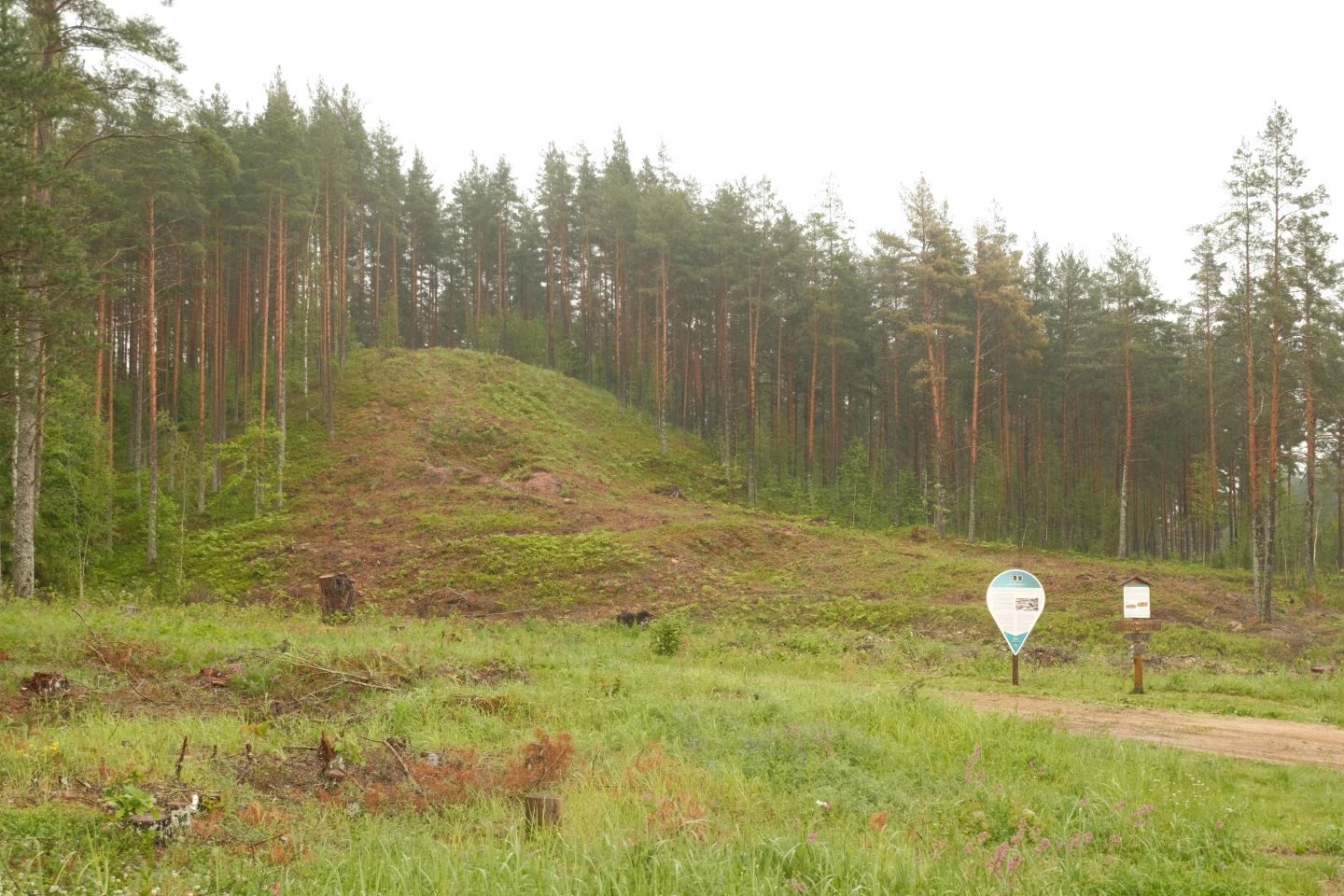 Taastamisel oleva Seismemäe üks külg on lagedaks raiutud.