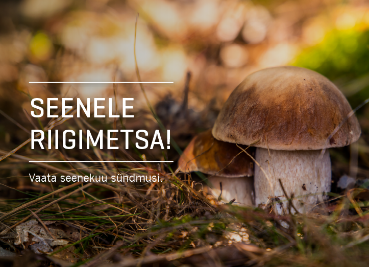Seenele riigimetsa!