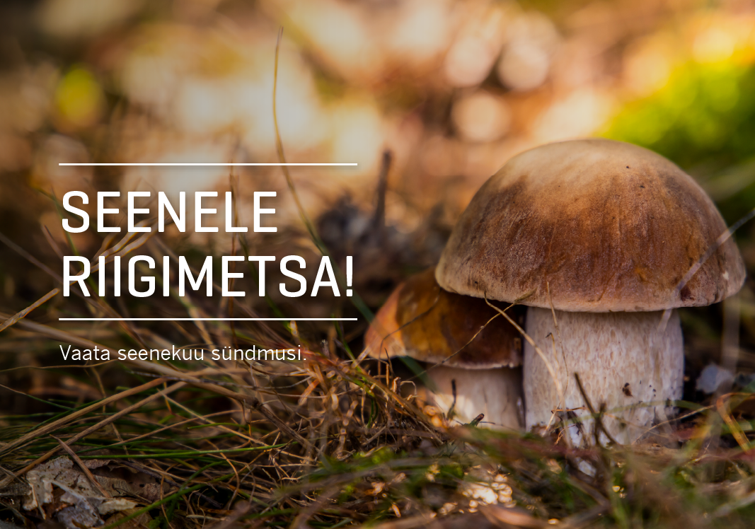 Seenele riigimetsa!