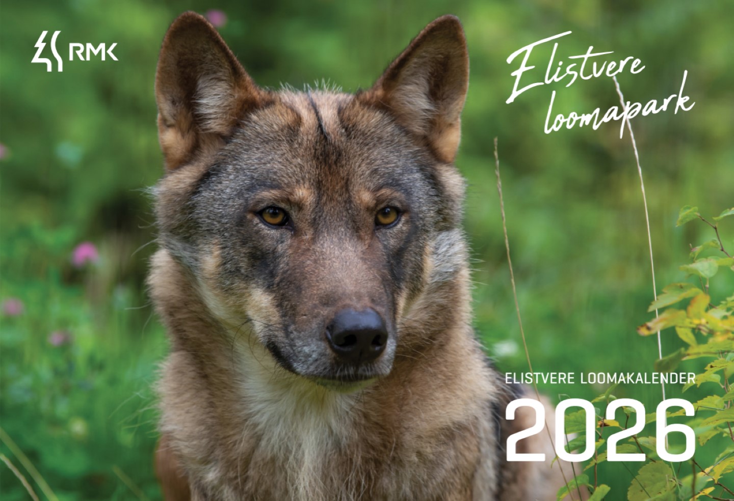 Elistvere kalendri avafoto