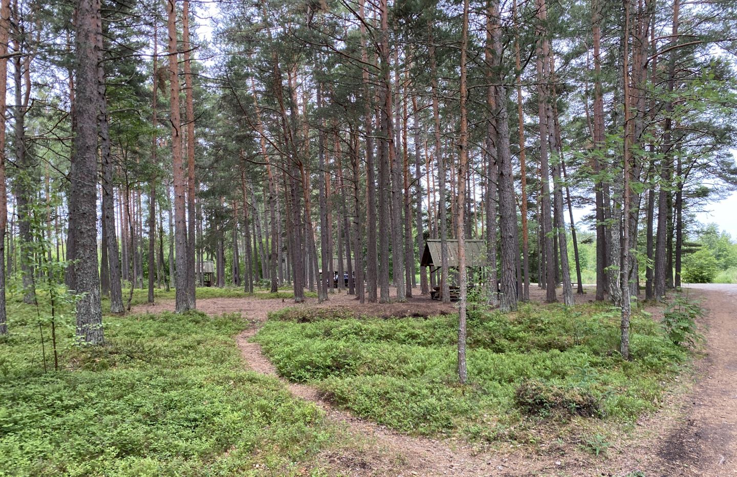 Kaberneeme telkimisala