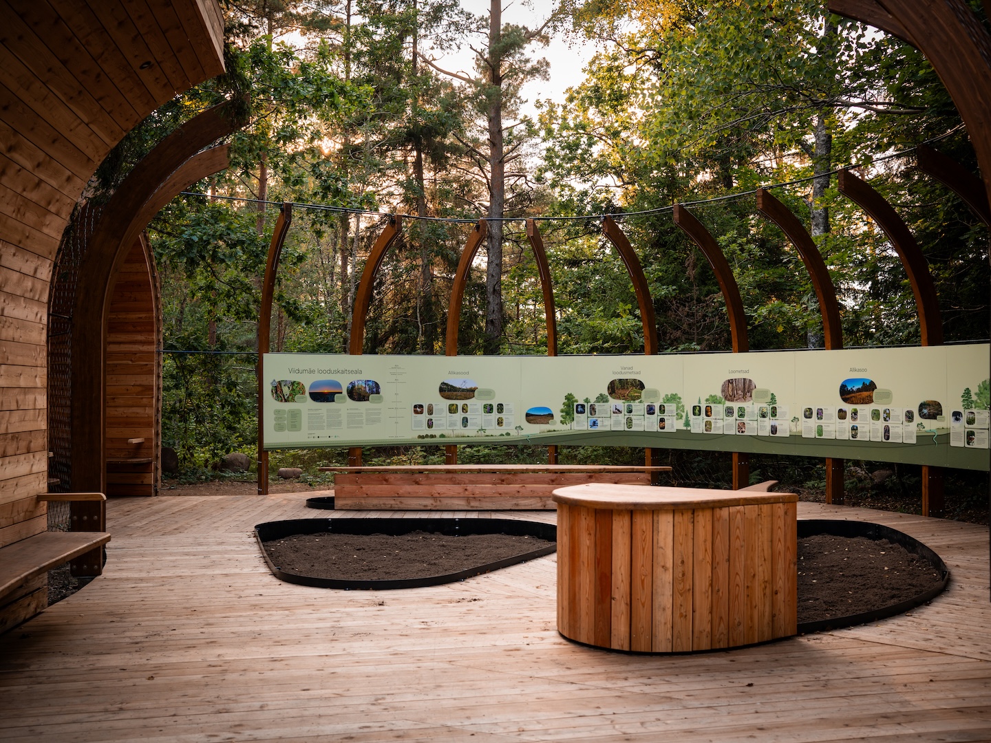 Viidumäe väliekspositsioon