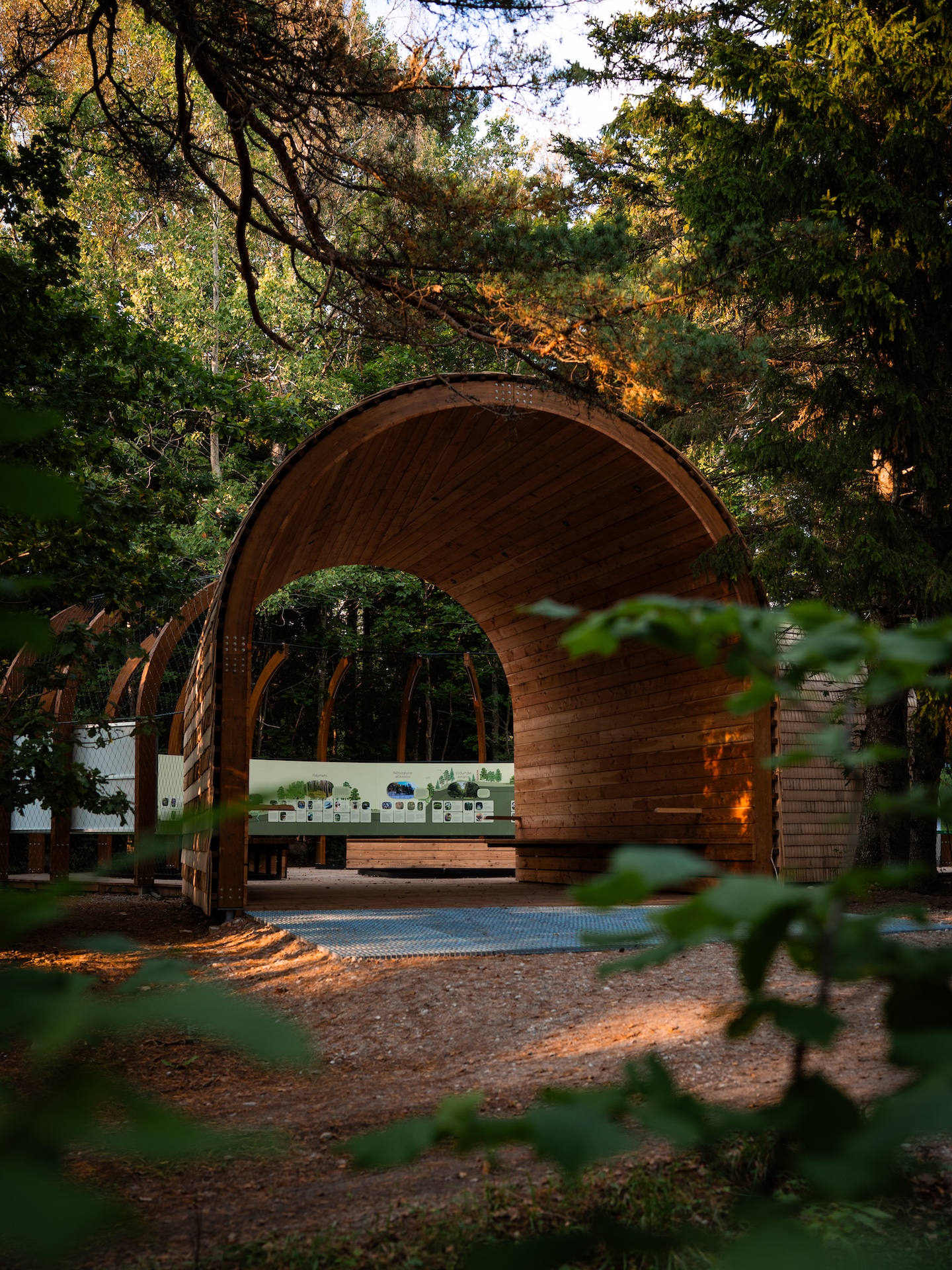 Viidumäe väliekspositsioon