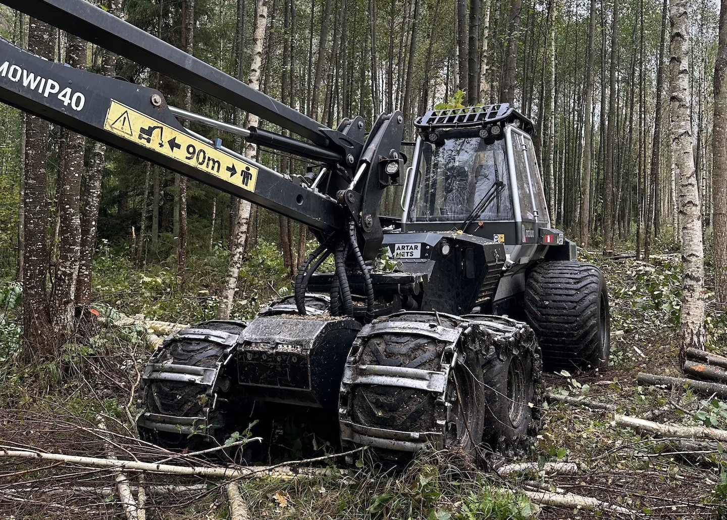Väike harvestes metsas