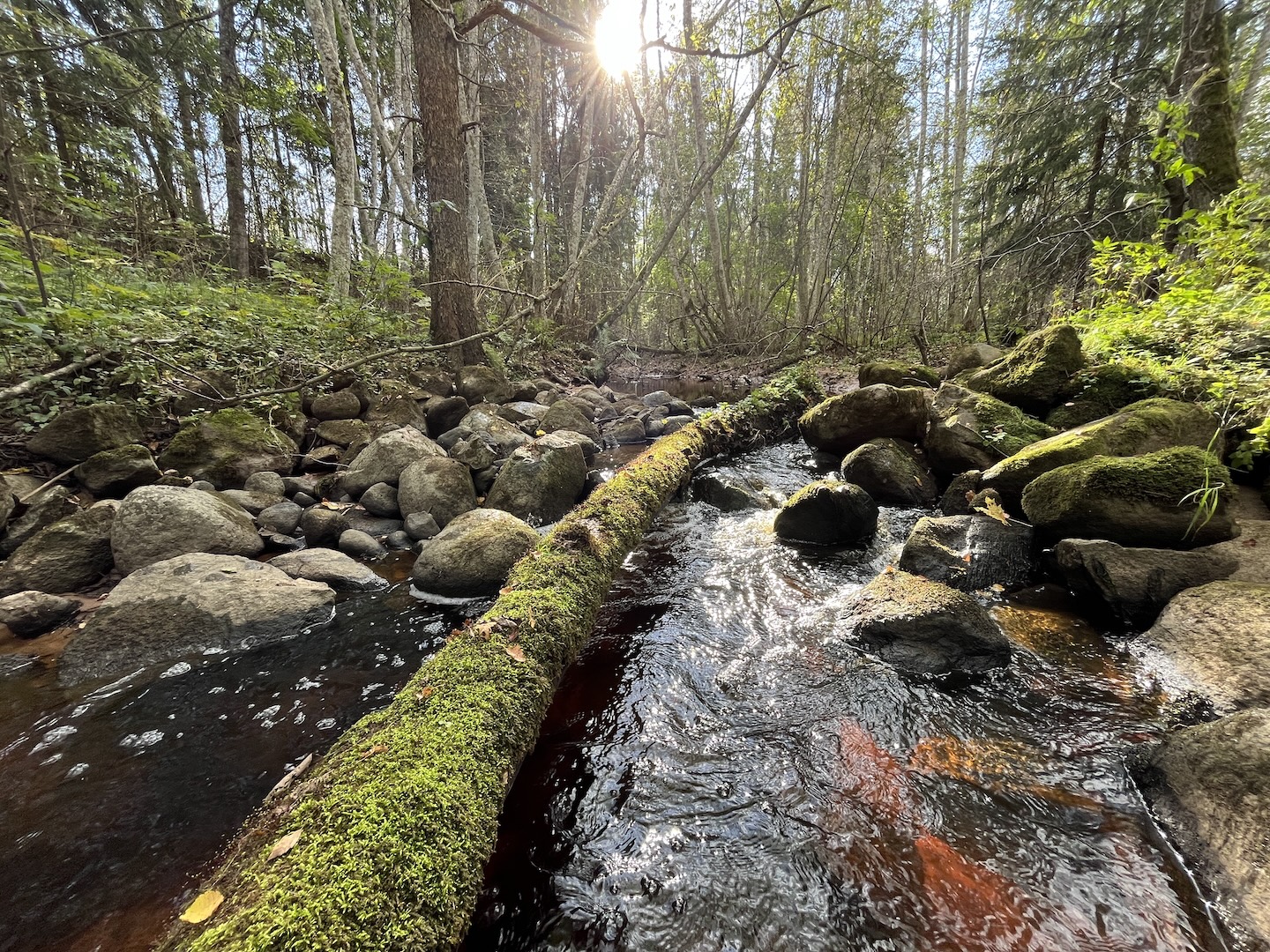 Hendrikhansu mnt kivikünnis (enne eemaldamist).