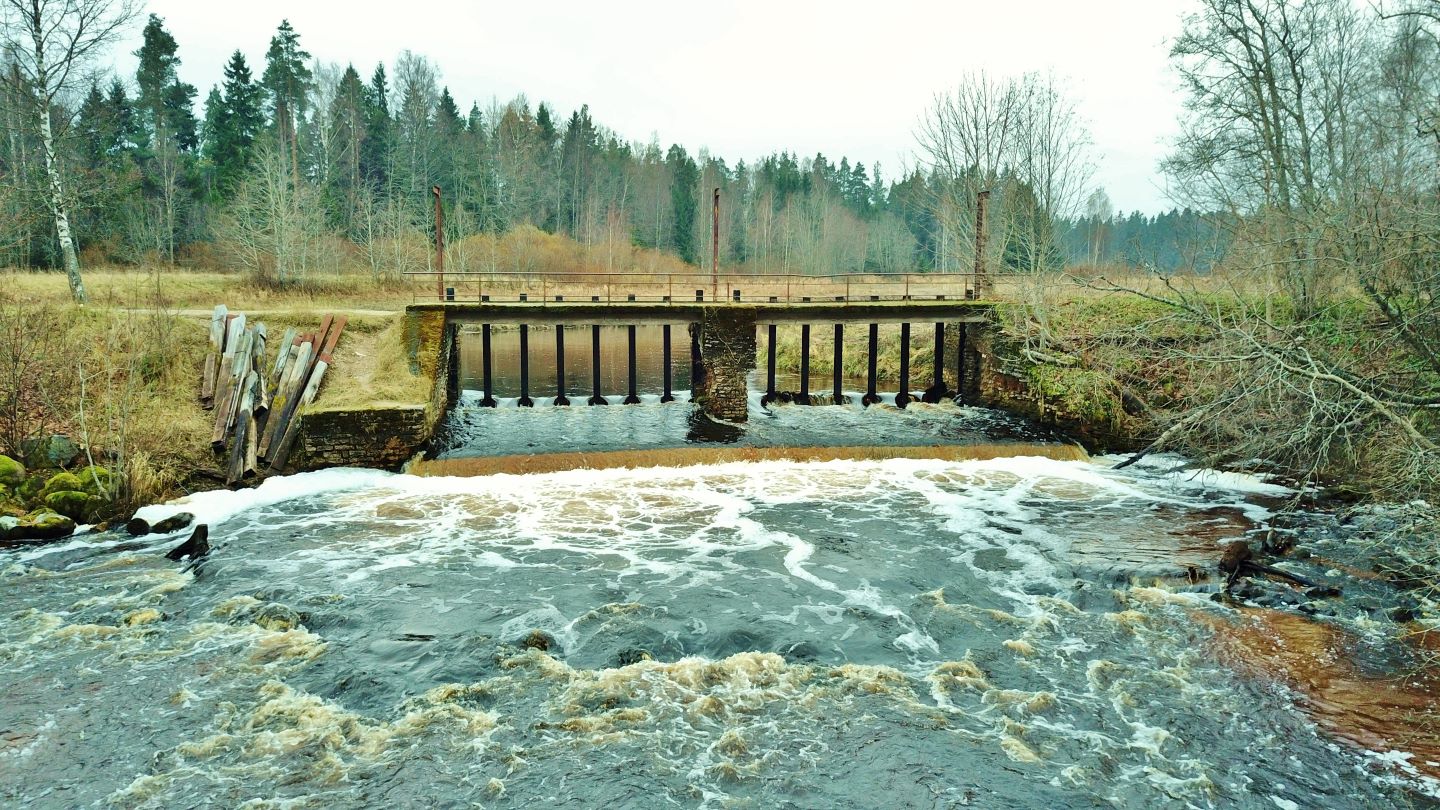 Uudise "RMK lammutab kalade liikumist takistanud Kotka paisu " eelvaate pilt