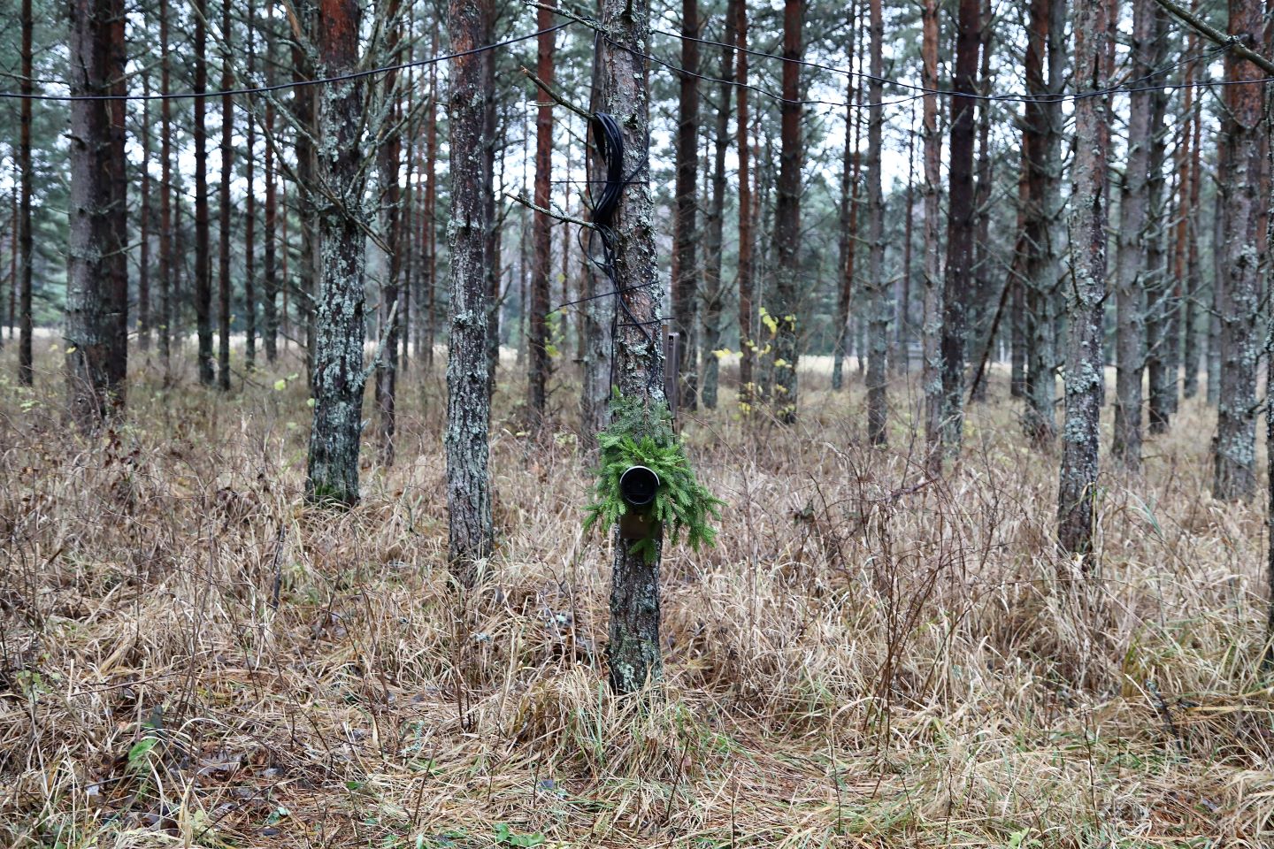 Uus hirvekaamera moodul