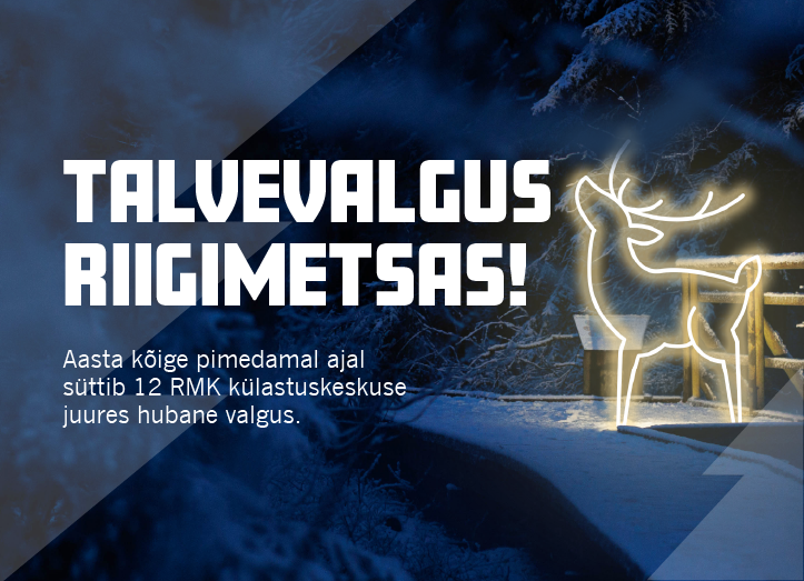 Talvevalgus riigimetsas!