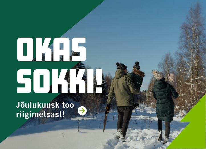 Jõulukuusk riigimetsast!