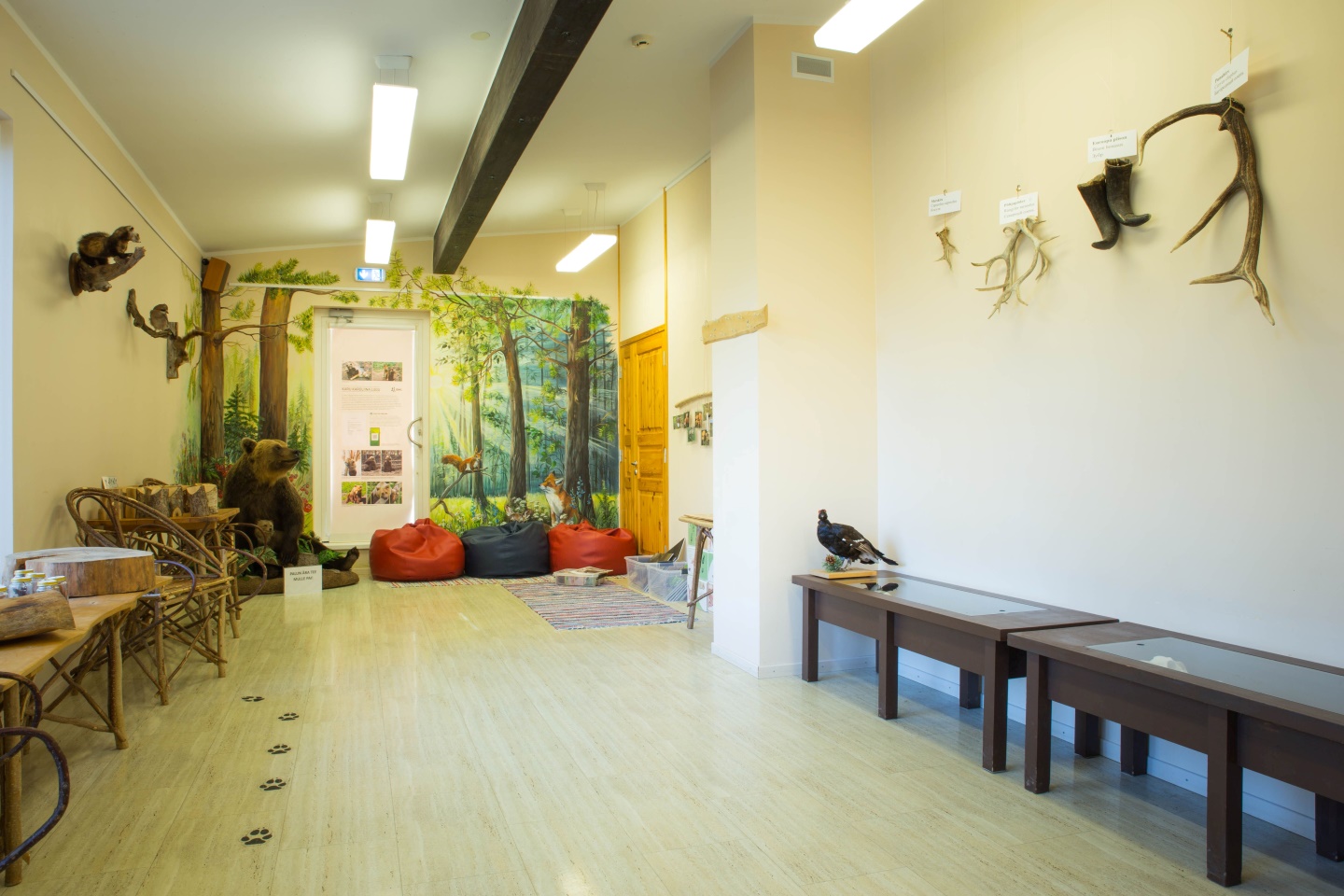 Elistvere Animal Park and Visitor Center