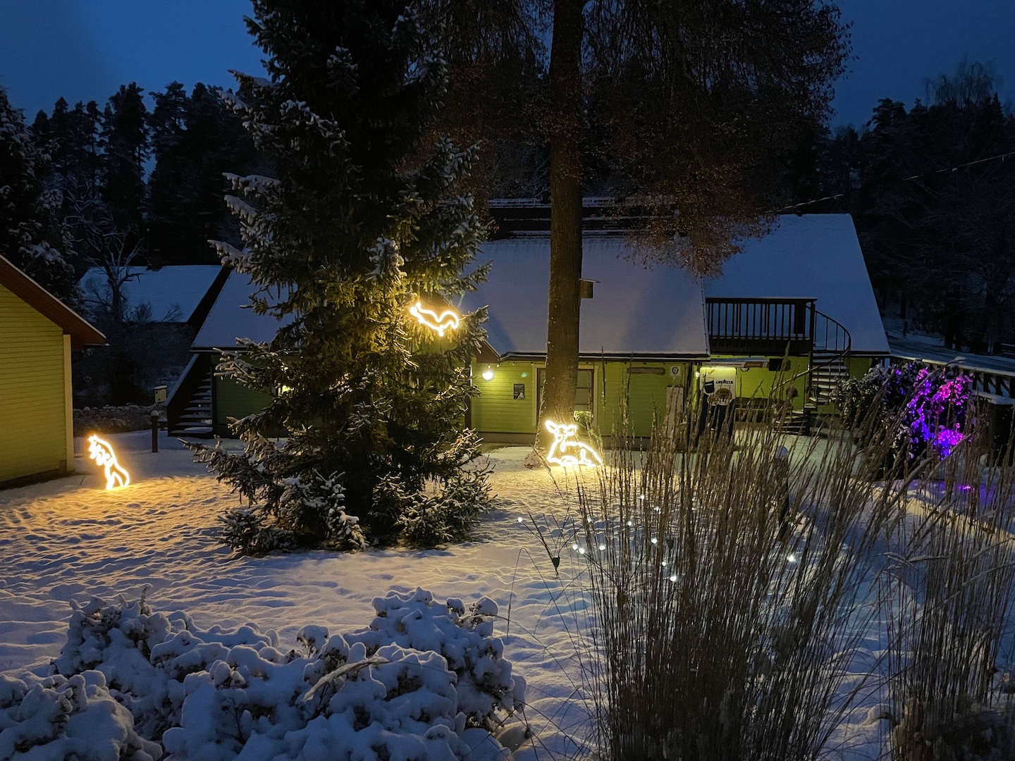 Uudise "RMK külastuskeskused kutsuvad osa saama meeleolukast talvevalgusest" eelvaate pilt