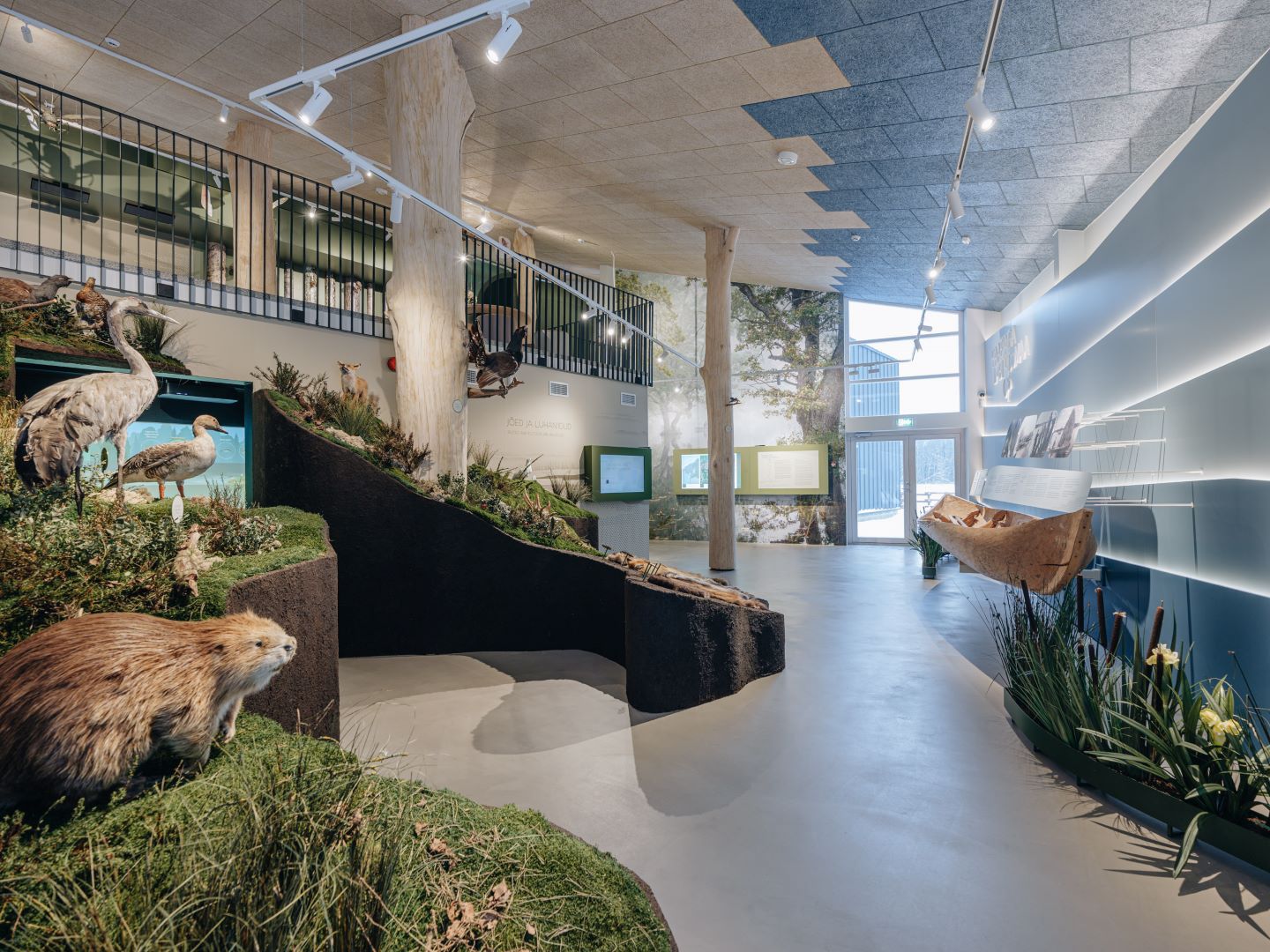 Soomaa National Park Visitor Center