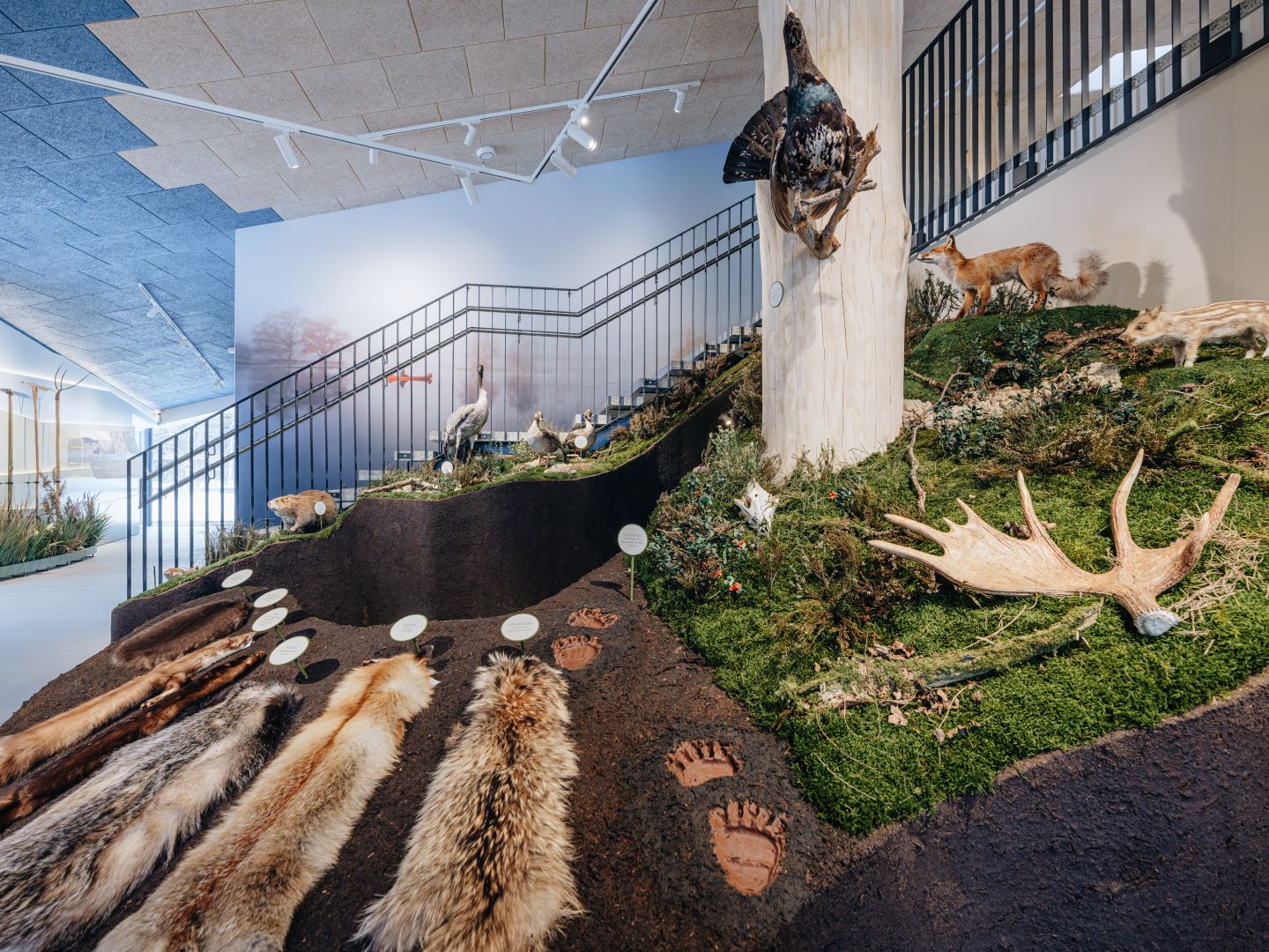 Soomaa National Park Visitor Center