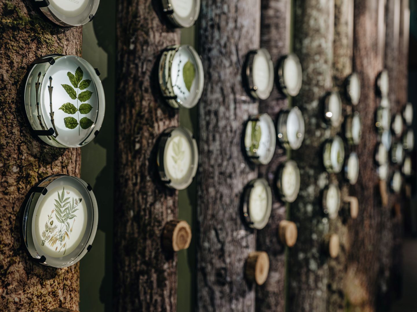 Soomaa National Park Visitor Center