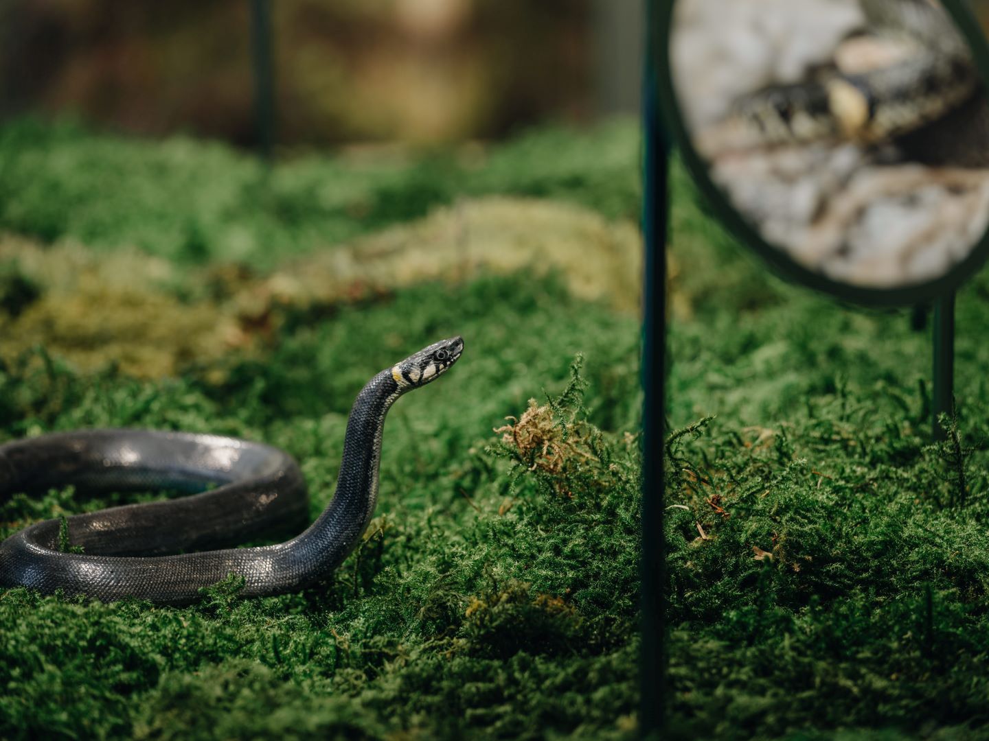 Soomaa National Park Visitor Center