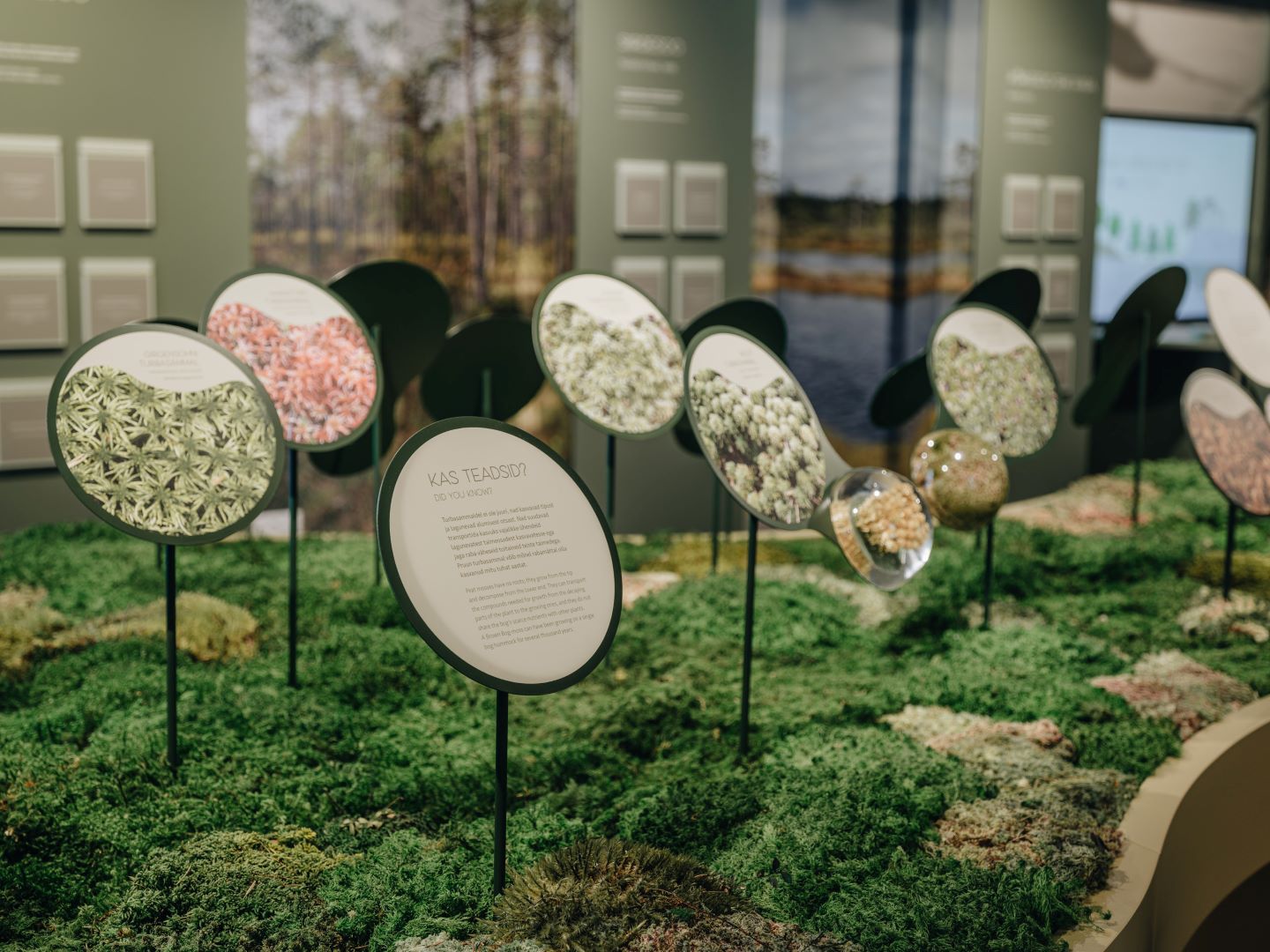 Soomaa National Park Visitor Center