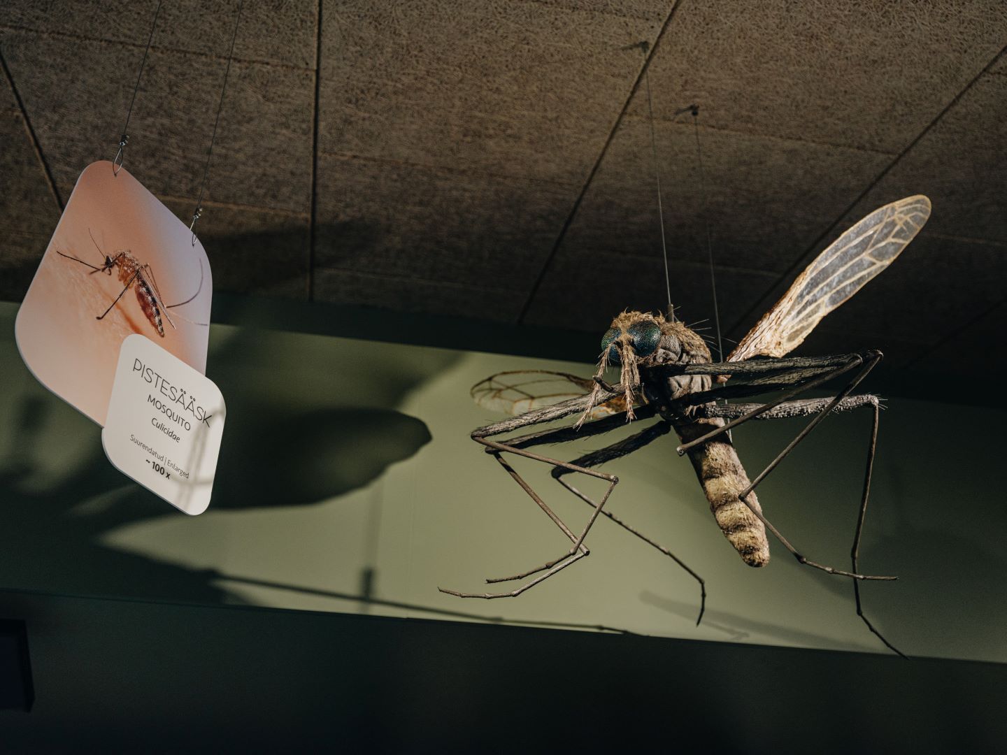 Soomaa National Park Visitor Center