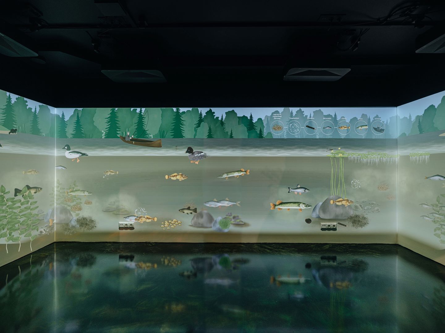 Soomaa National Park Visitor Center