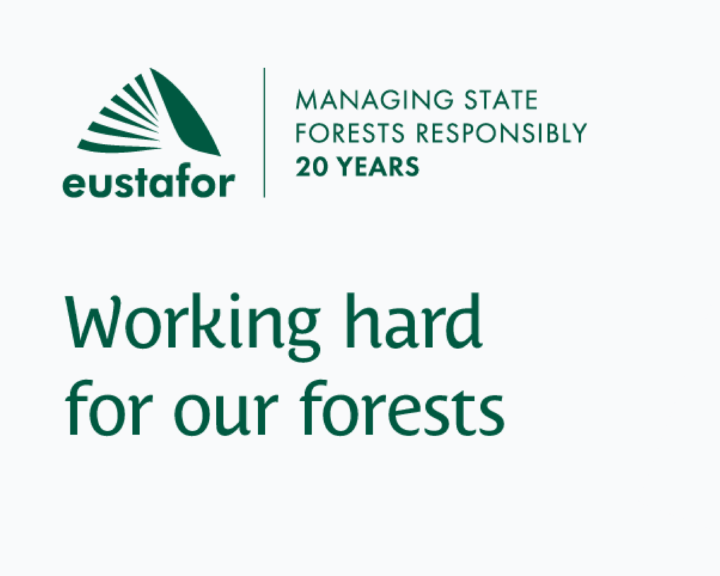 Uudise "EUSTAFOR ja RMK tähistavad 20 aasta pikkust koostööd riigimetsade häälekandjaks olemisel" eelvaate pilt